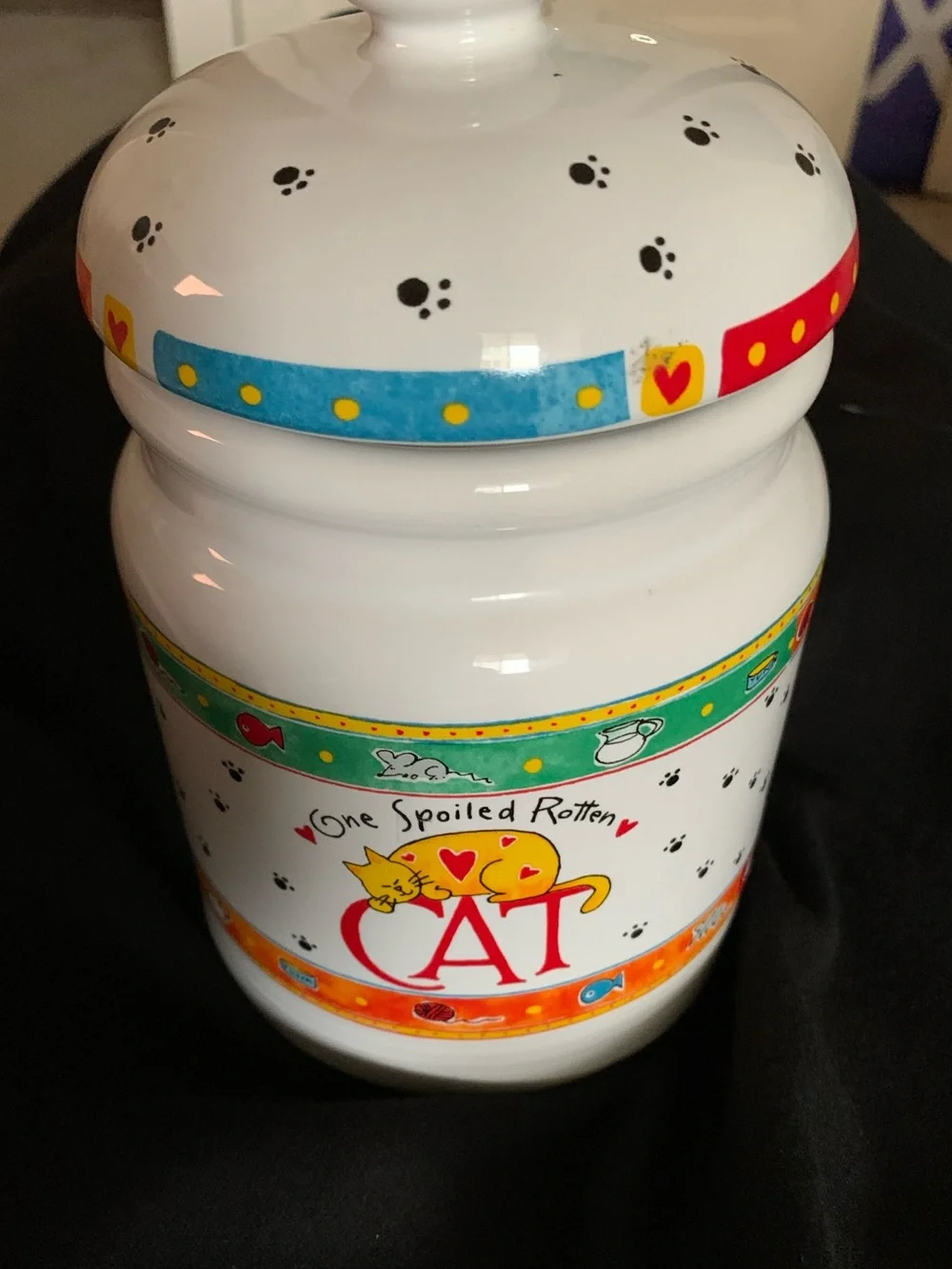 One Spoiled Rotten Cat Treat Canister